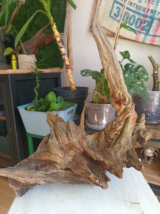 Korzeń do akwarium lub terrarium