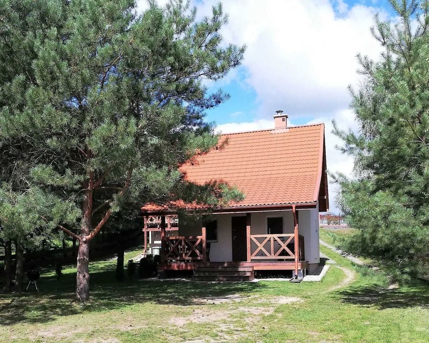 Dwa Domki Własna Linia brzegowa Mazury Domek nad jeziorem Noclegi Ełk