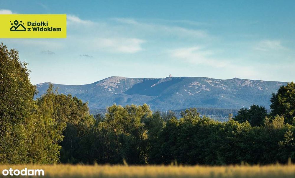 Chmieleń - działka z WZ zatopiona w naturze i spokojnej okolicy