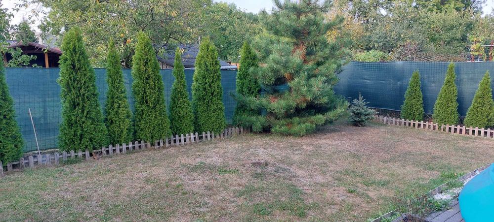 Sprzedam działka RODO Czeladź