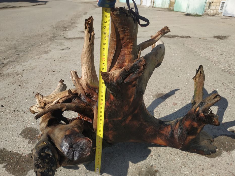 Корч  в  акваріум