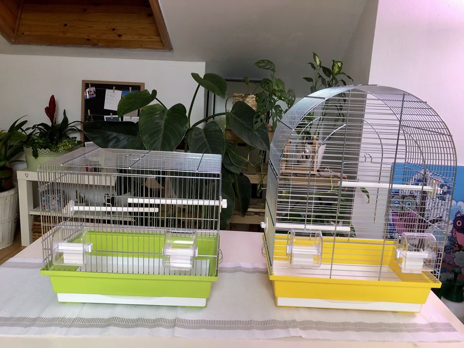 Nowa wyposażona klatka dla kanarka papug 39x25x34cm