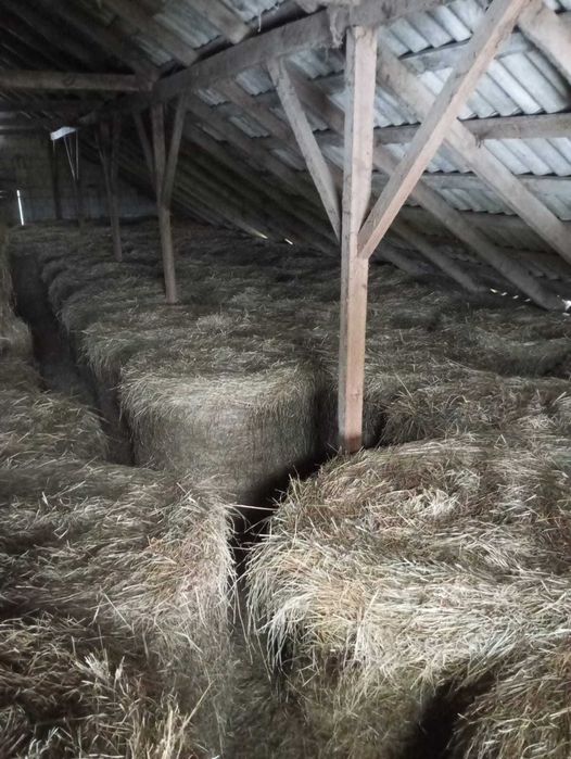 siano/sianokiszonka 2025