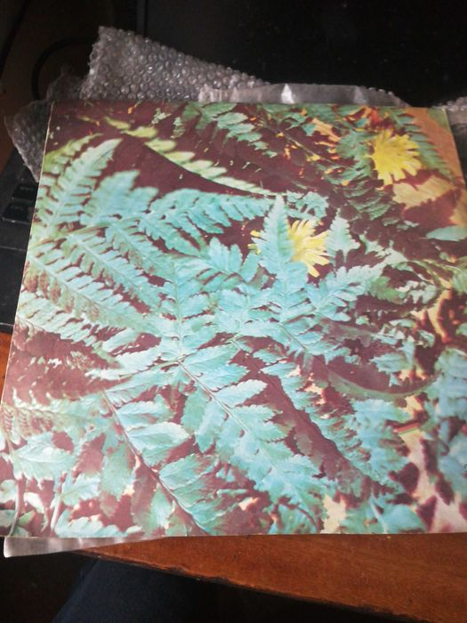 Грамплвстинка Поет трио Маренич