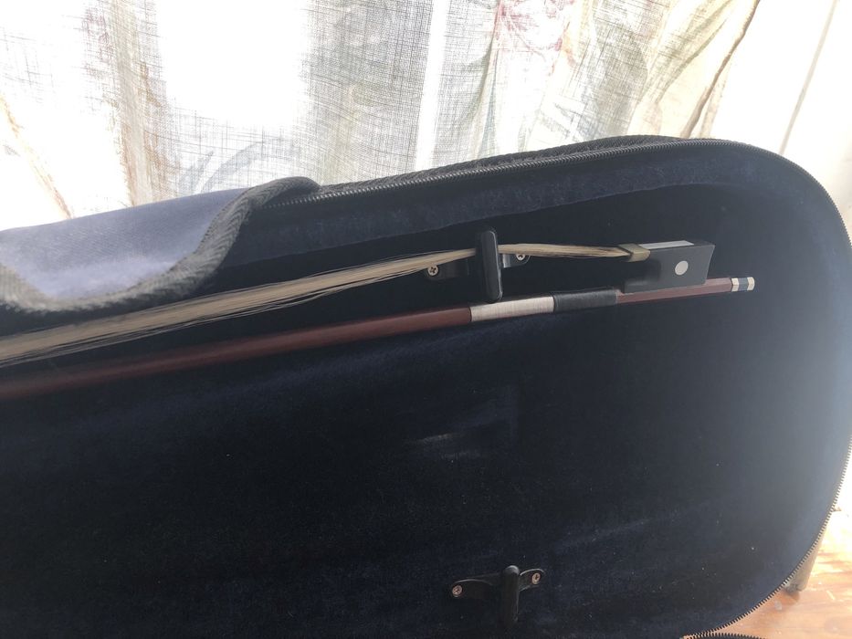 Violino com cordas de violeta