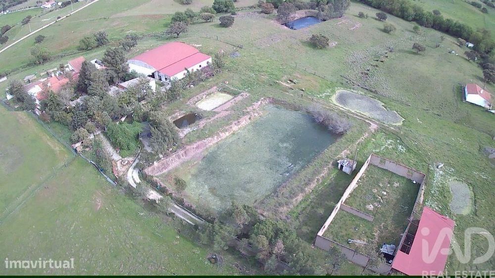 Terreno em Serpa