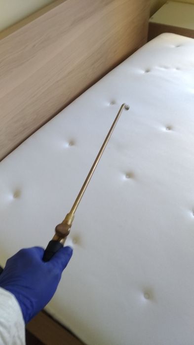 Desinfestação de Percevejos64840537405443124