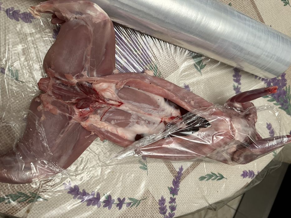 Продам кролики