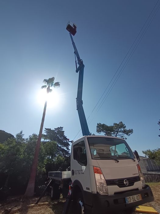 Grua com cesto - Aluguer