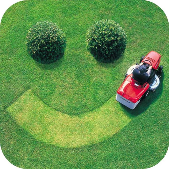 Jardineiro – Corte de Relva, Podas e Limpeza de Jardins