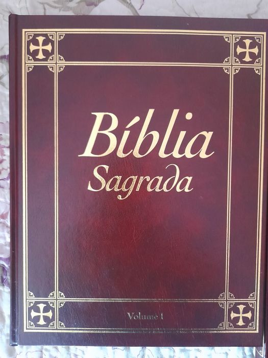 6 livros de colecção " Bíblia Sagrada"