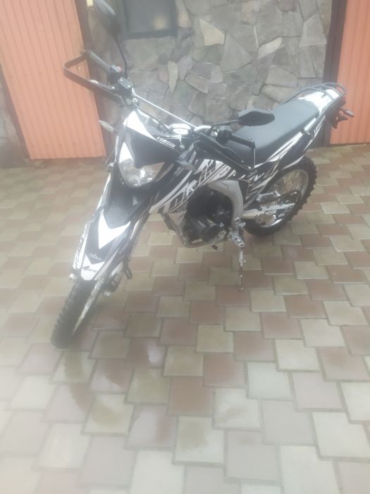 Продам LONCIN.Лося.