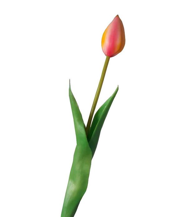 Tulipan tulipany silikonowe gumowe jak żywe 40 cm kolory