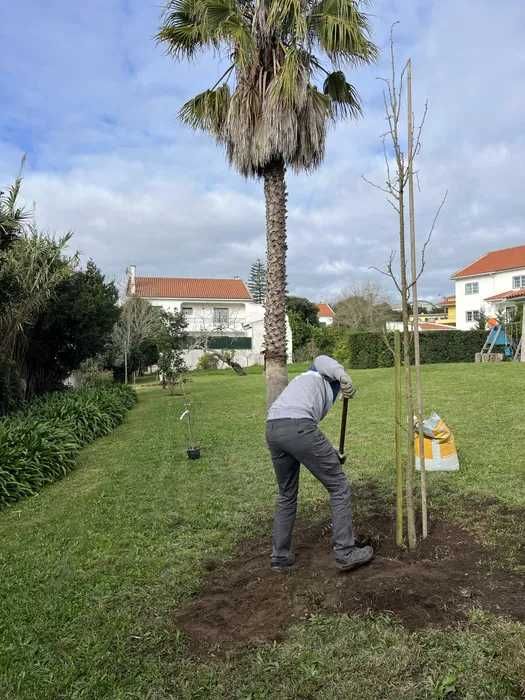 Manutenção Jardins (Jardineiro)