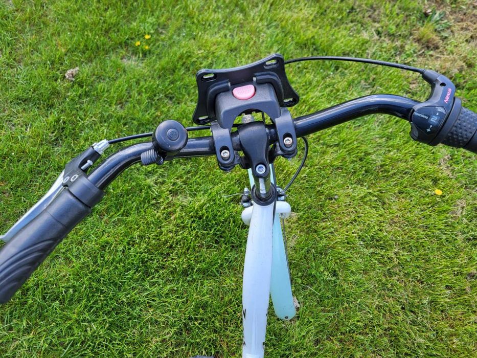 Rower młodzieżowy Zeger 24''