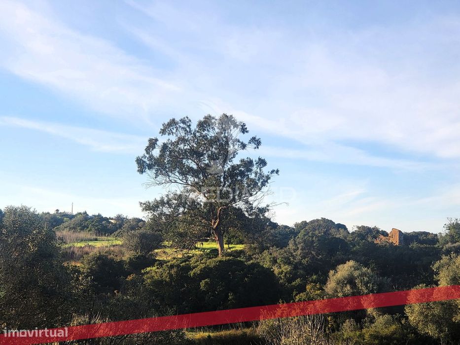 Terreno rústico com ruína