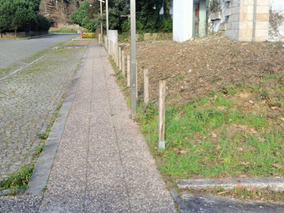 Limpeza de terrenos mato e jardins