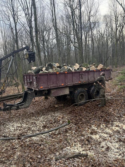 Продам дрова різних порід