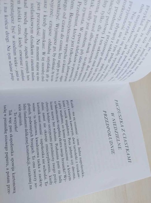 Pierwszy łyk piwa i inne drobne przyjemności Philippe Delerm