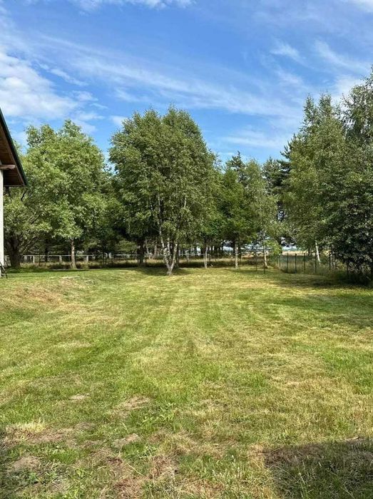 Koszenie działek i nieużytków | Wysoka trawa | Wykaszanie | Szybkie terminy