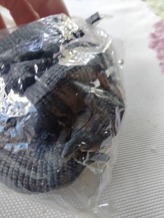 Pancerniki zabawkowe zwierzątka z epoki PRL-u