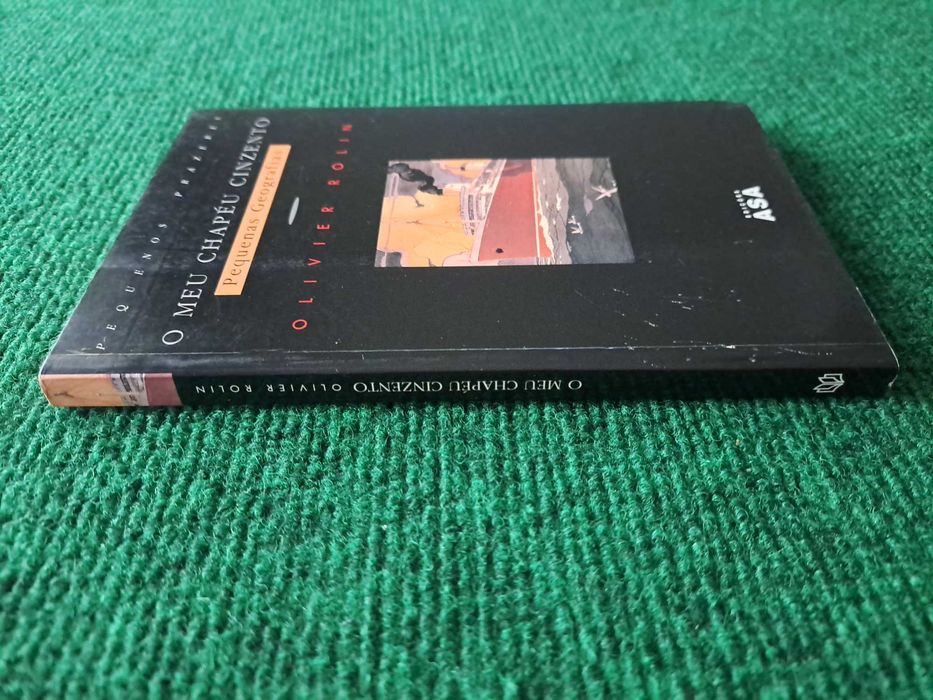 O meu chapéu cinzento - Olivier Rolin