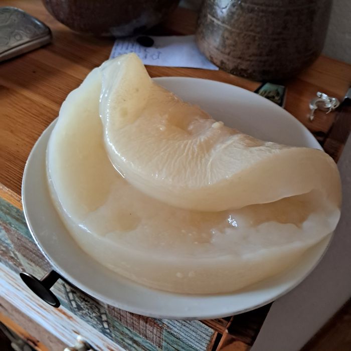 Matka octowa, starter, żywy ocet