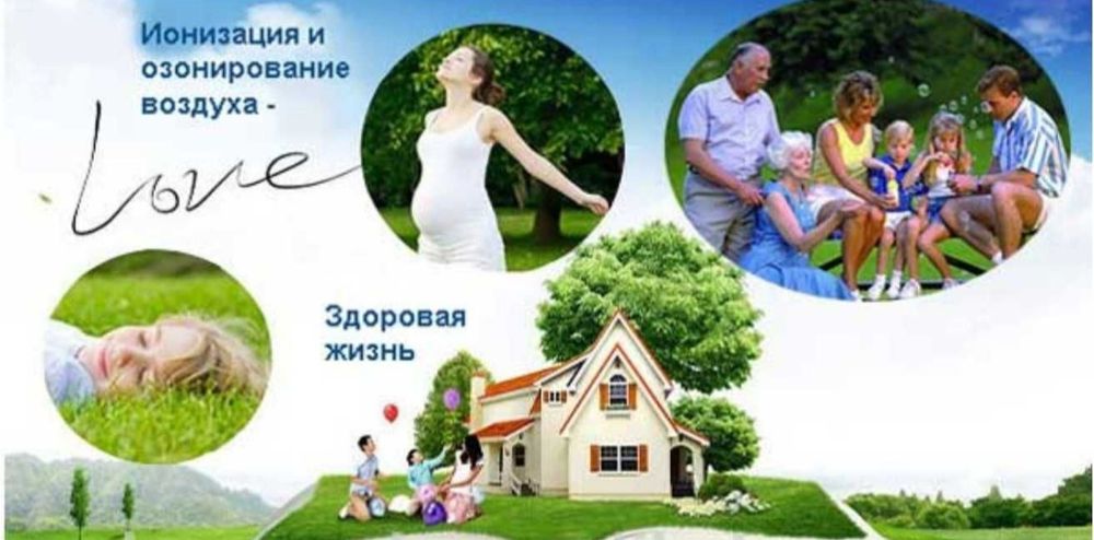 Озонатор 300м.грамм реактор керамический ионизатор очиститель воздуха