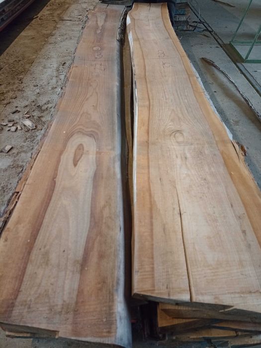 Tarcica wiązowa sucha, wiąz 50, 30, 27 mm