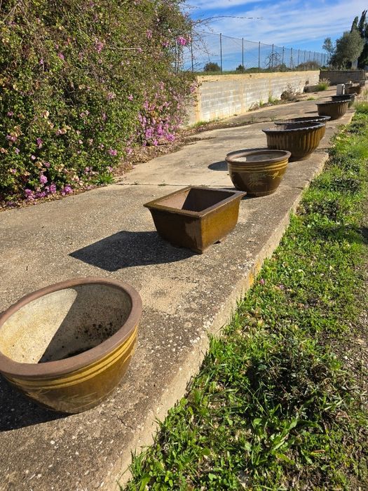 Vasos Chineses oportunidade