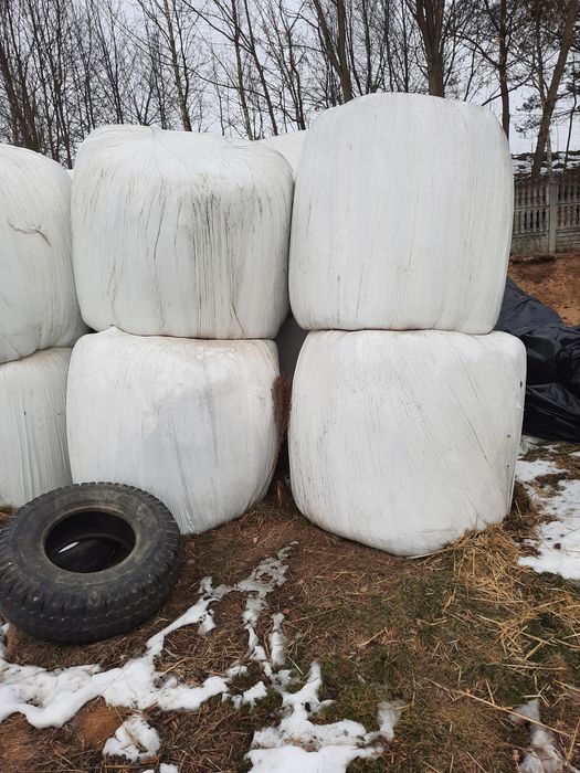 Sprzedam rolki sianokiszonki