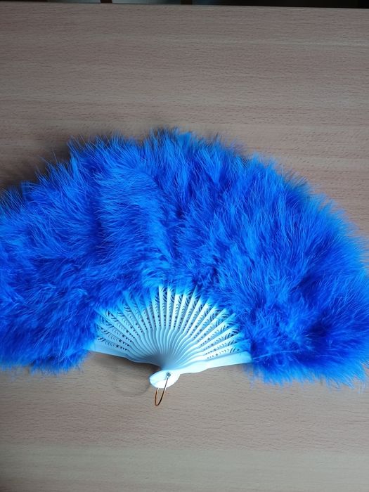 Wachlarz z piór.