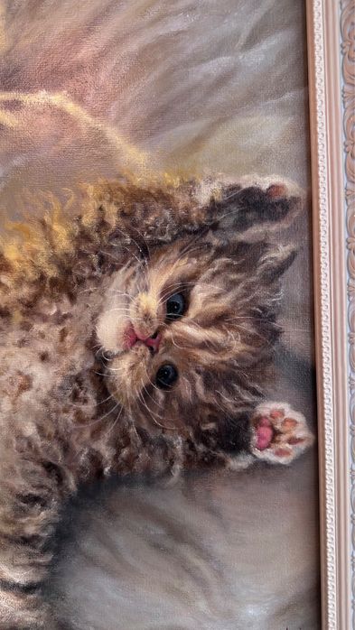 Квртина олійними фарбами. Кіт