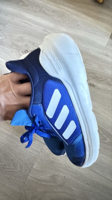 кросівки adidas