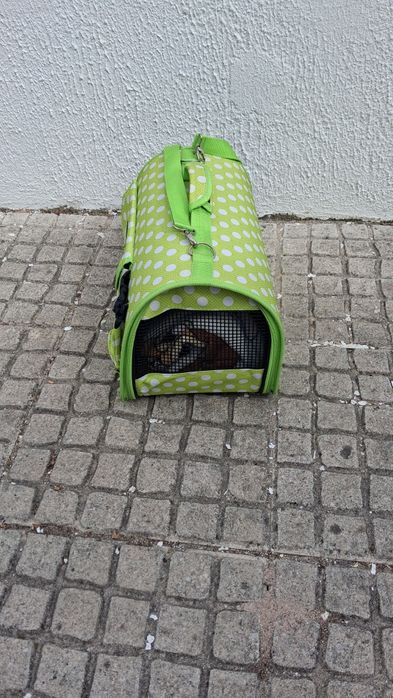 Transportadora para animal pequeno,em tecido forte