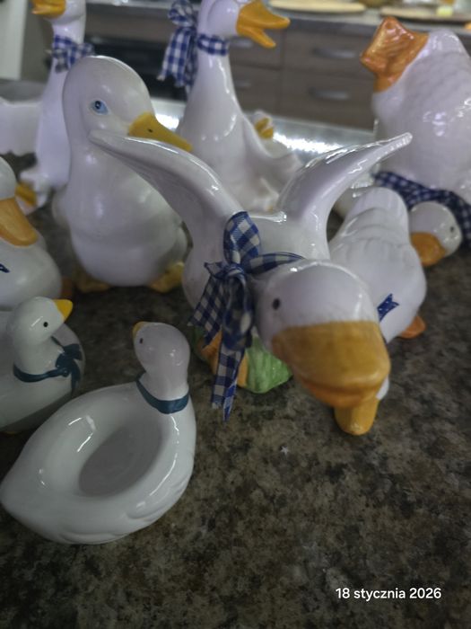 Zestaw kaczek ozdoba