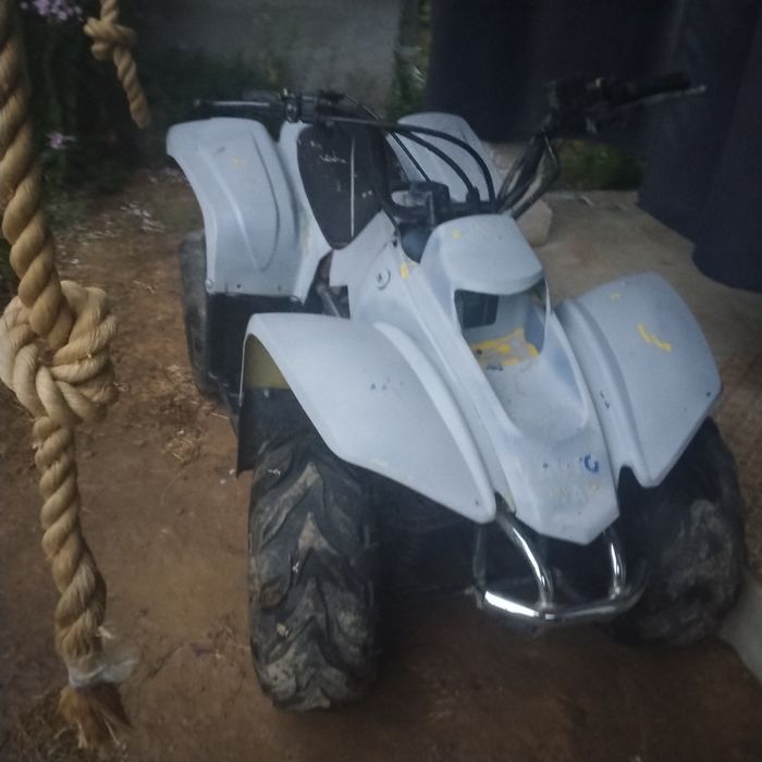 Квадрик 125 кубовий