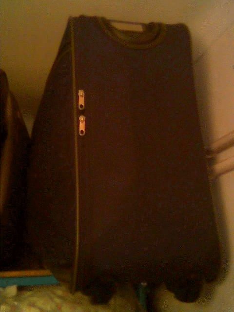 Mala de viagem SAMSONITE 2 rodas (75x55x25cm)