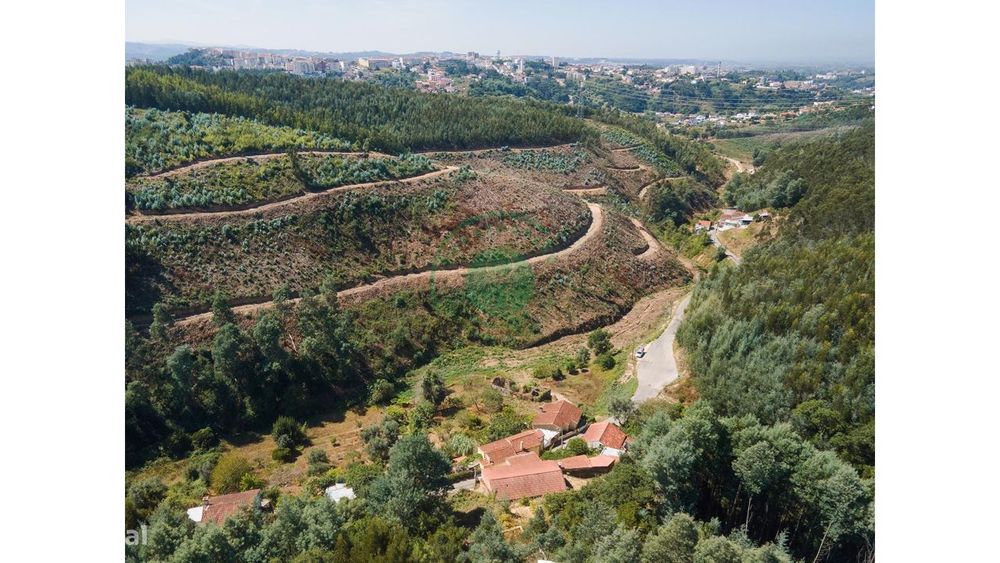 Terreno com 454 m2 em Coimbra