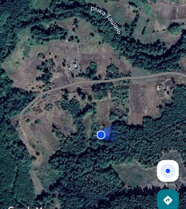 Земельна ділянка в лісі