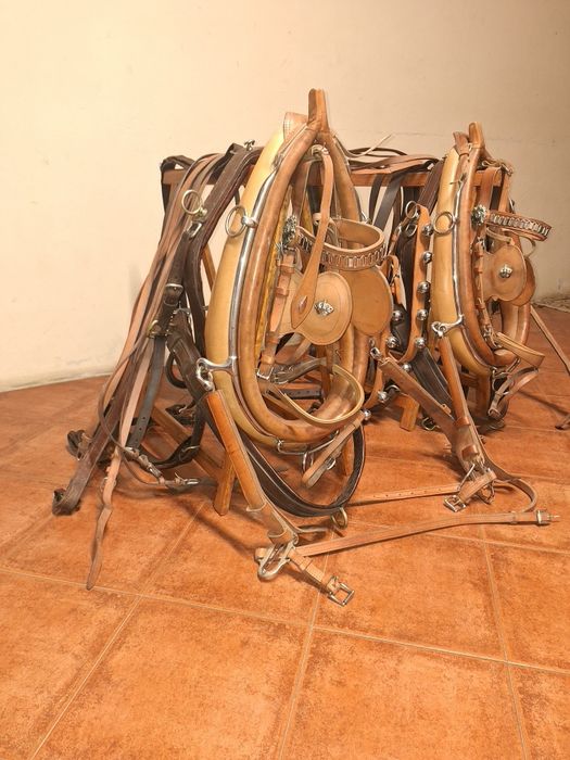 Arreio de engate - Parelha