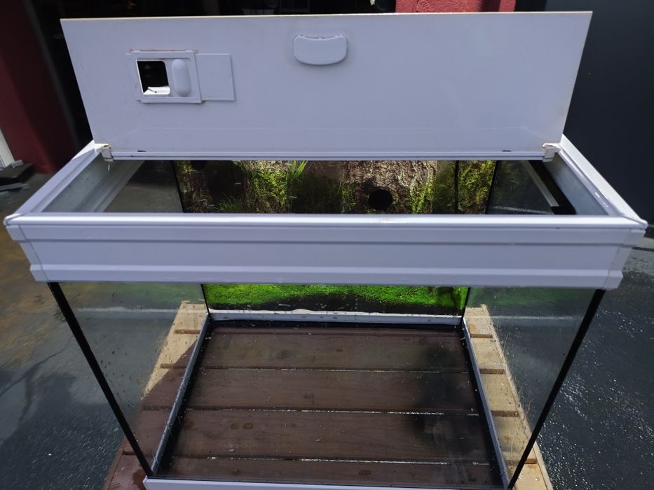 Aquário em excelente estado 60x40x55