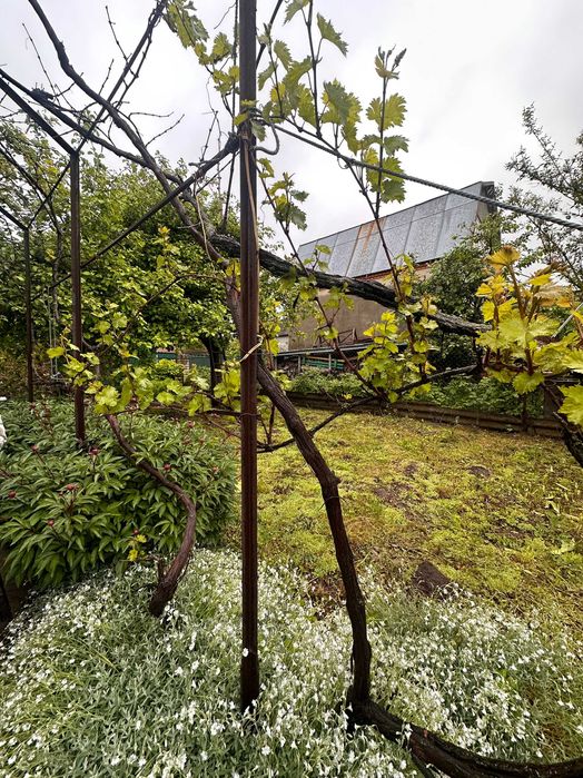 Найпривабливіший будинок біля Хмельницького, з шикарною ділянкою