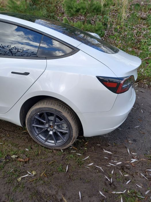 Дверка tesla model 3  дверь двері tesla m3