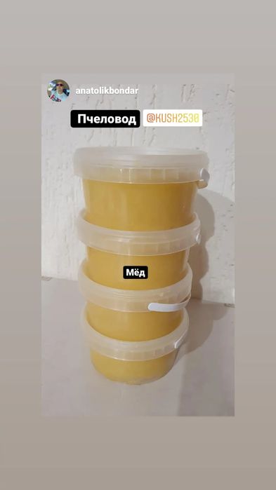 Продам мед  з власної пасіки.