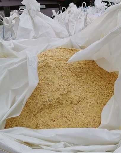 Kukurydza mielona CCM