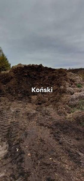 Podłoże popieczarkowe, szybki dowóz