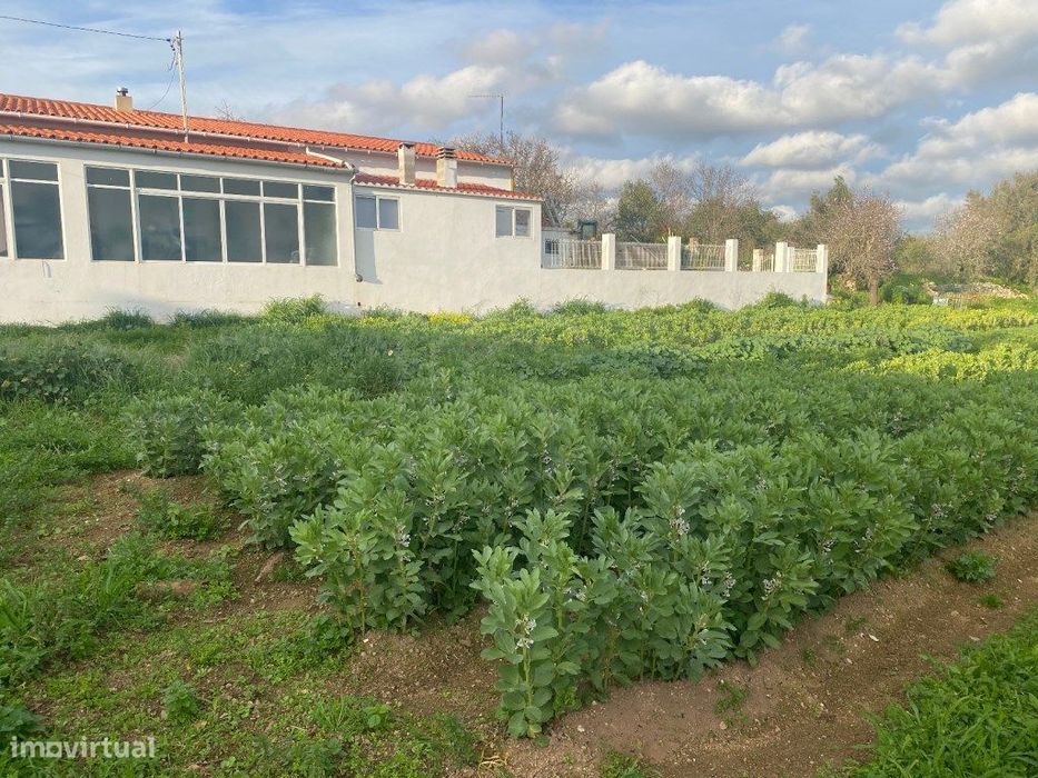 Lote de terreno Rústico com 1000m2, Albufeira, Algarve — Paderne, Faro