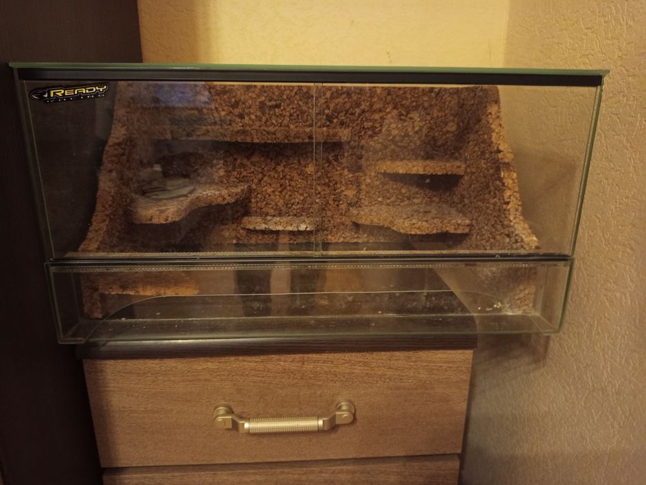Terrarium dla gekon lamparciego