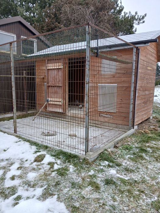 Gołębie i gołębnik